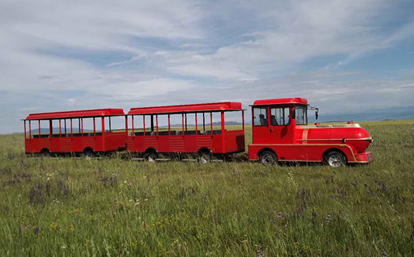 现代款红色旅游景区观光无轨小火车